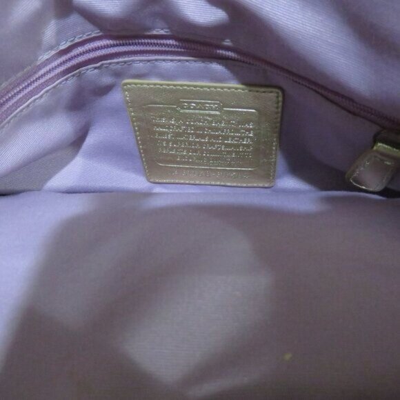 Coach Lexi Cream Silver Metallic Straw Leather Limited Edition Butterfly Bag Set - Picture 6 of 14
